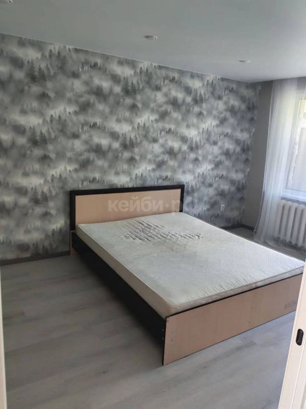 2к братьев касимовых — миниатюра 4