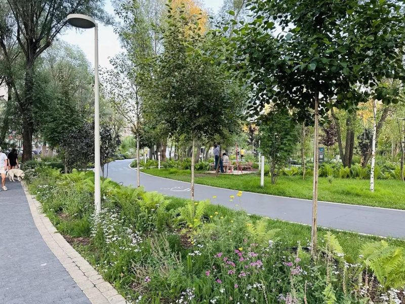 1к Серова — миниатюра 6