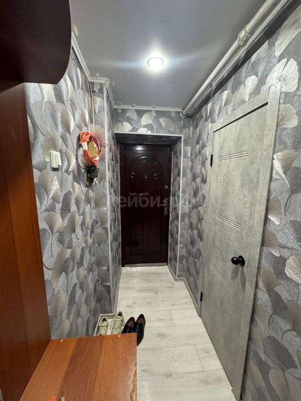 2к Мазита Гафури — фото 3