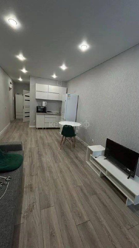 Студия Курынова