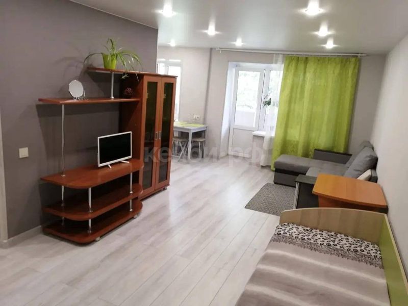 1к Татарстан дом — миниатюра 2
