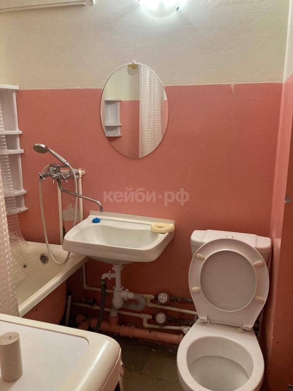 1к Чишмяле — миниатюра 5