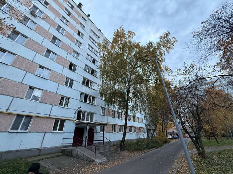 1к Профессора Камая