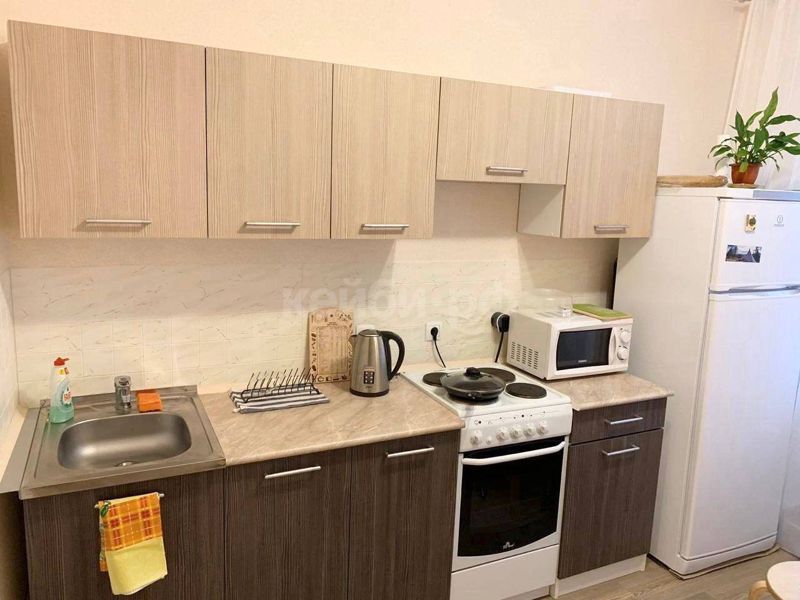 1к Рауиса Гареева — миниатюра 6