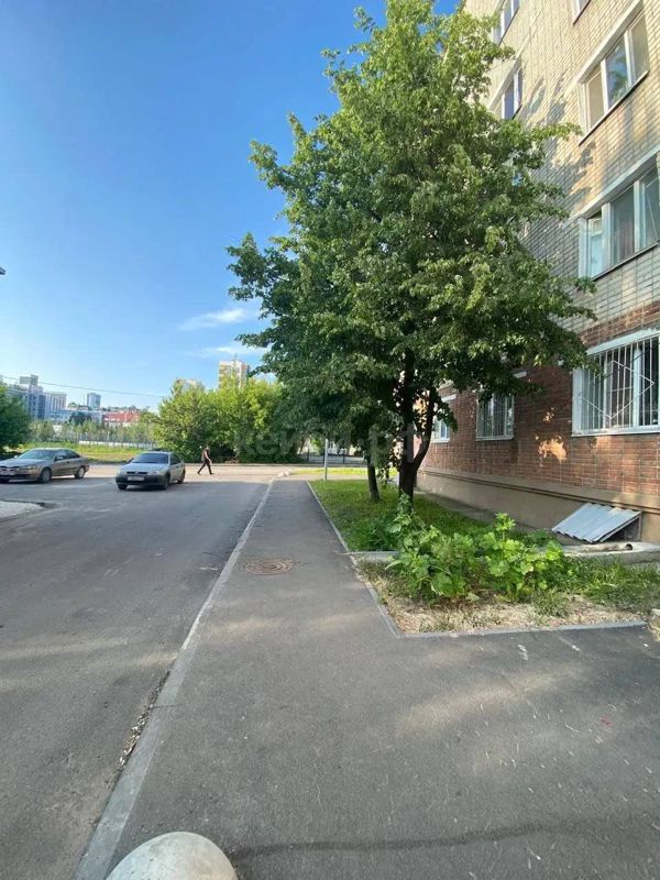 Гостинка Аделя Кутуя — миниатюра 5