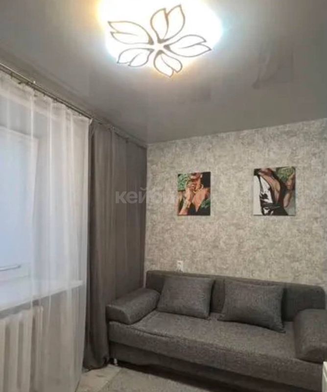 Гостинка Аделя Кутуя — миниатюра 7