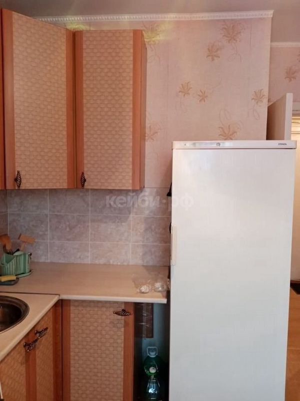 1к Ползунова — миниатюра 3