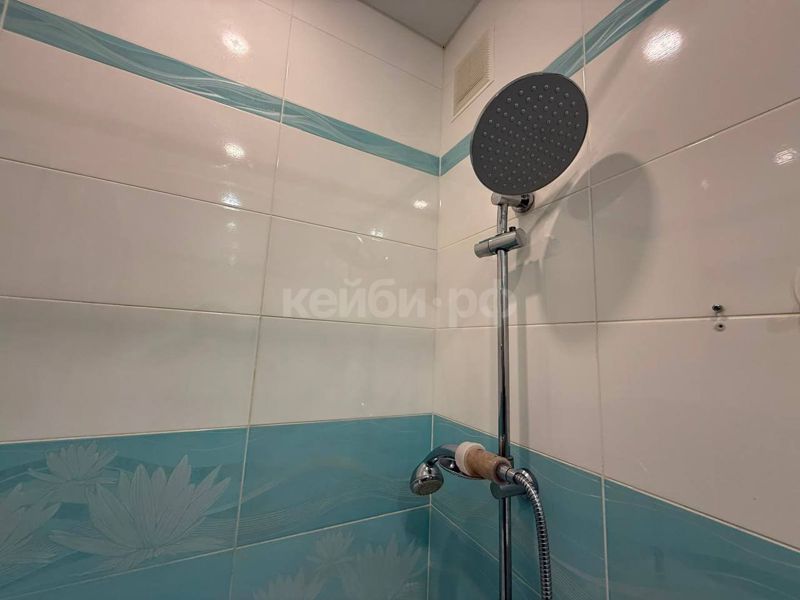1к Аделя Кутуя — миниатюра 14