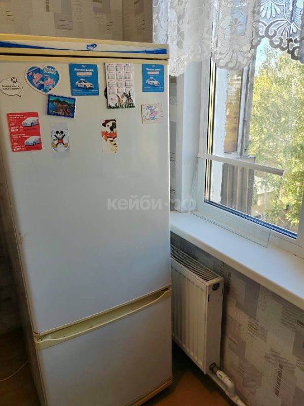 1к Мусина — миниатюра 8