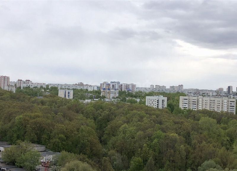 1к ЖК Новые Горки — миниатюра 5