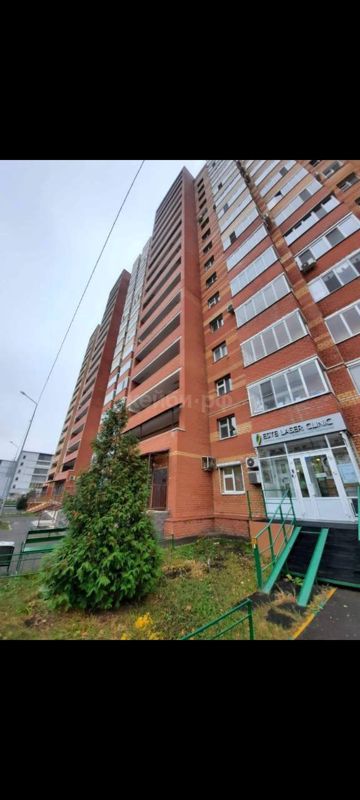 1к Адоратского — миниатюра 12