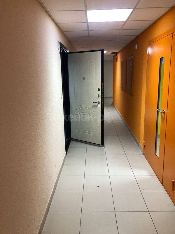 Студия ЖК Весна