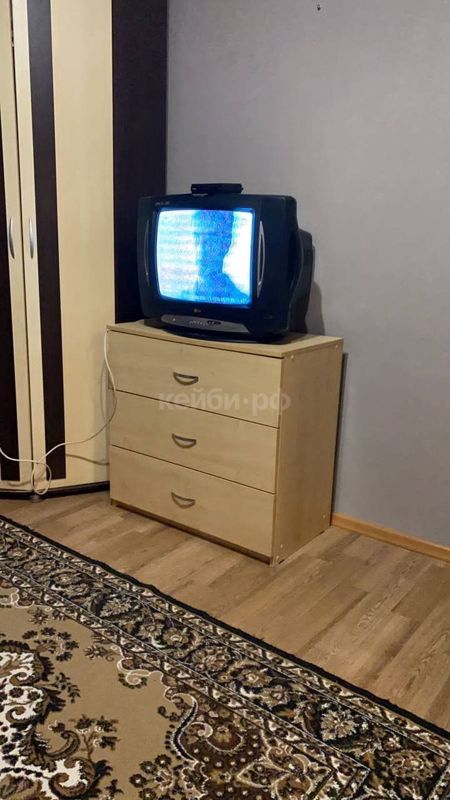 Гостинка Кирпичная — миниатюра 3