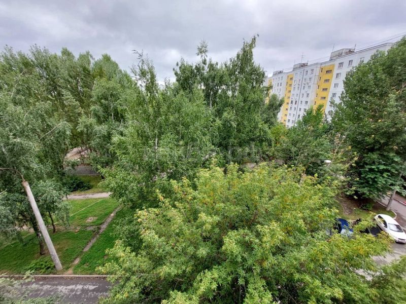 1к Адоратского — фото 10