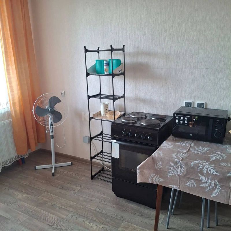 Студия Гайсина — миниатюра 2