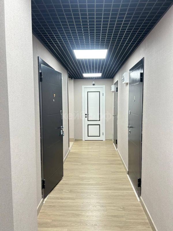 Студия Гривки — миниатюра 7