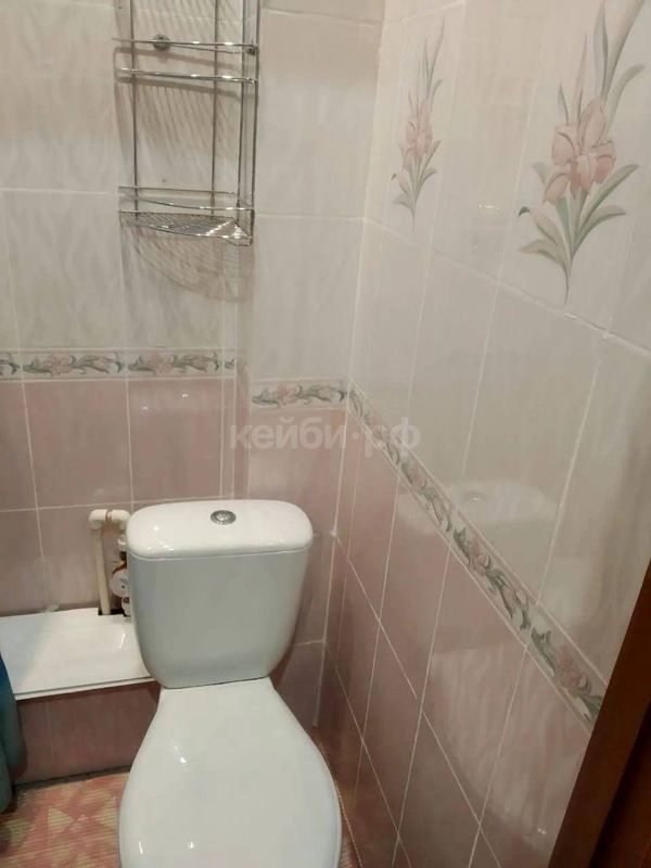 Гостинка Аделя Кутуя — миниатюра 8