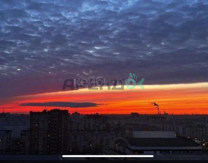 1к ЖК Синяя птица — миниатюра 5