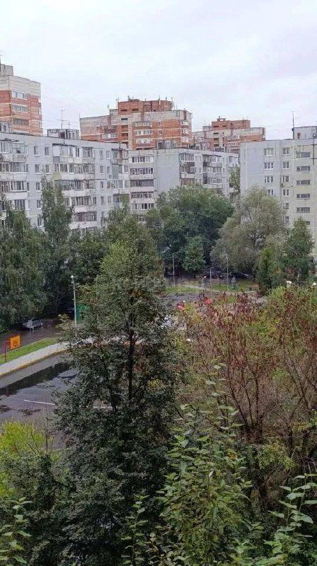 1к Гаврилова — фото 20