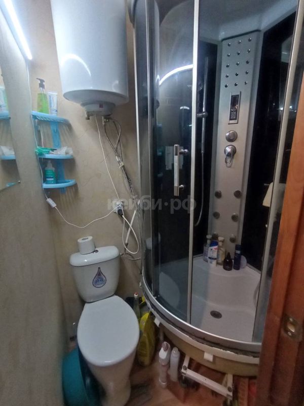 Гостинка Даурская — миниатюра 8