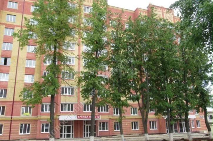 1к Побежимова — миниатюра 1