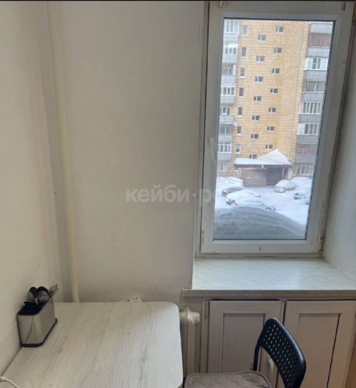 1к Дементьева — миниатюра 6