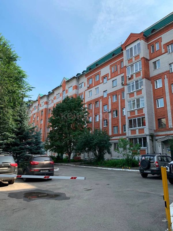 Евро-3к Масгута Латыпова — миниатюра 10