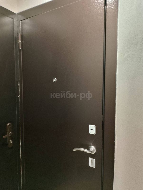 Студия Меридианная — миниатюра 14