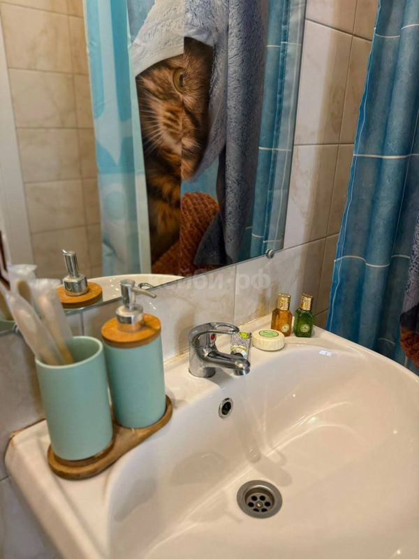 Студия Фукса — фото 10