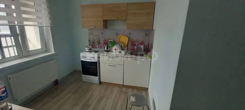1к Аделя Кутуя — миниатюра 7