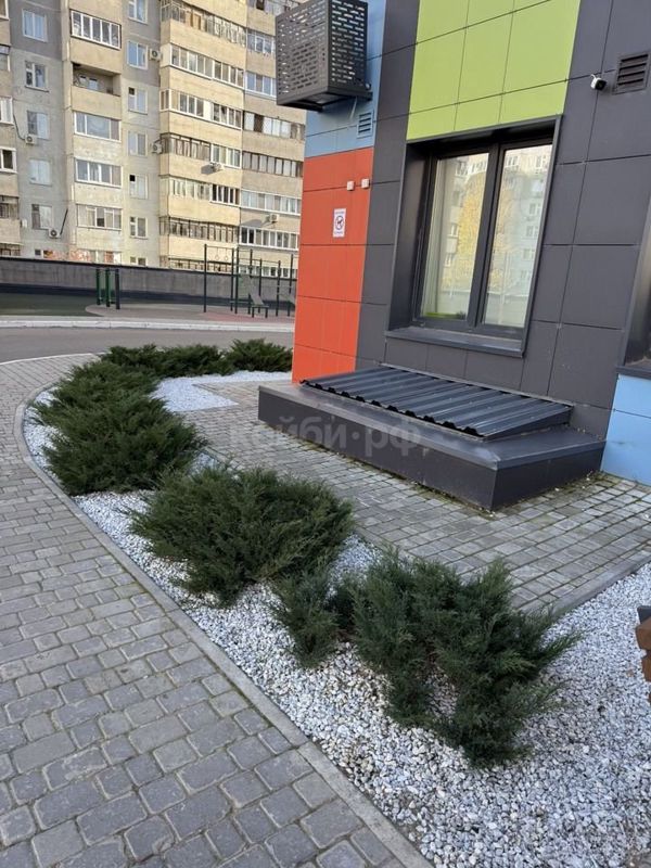 Студия Четаева — фото 4