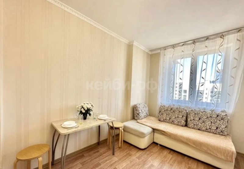 1к Козина — миниатюра 2