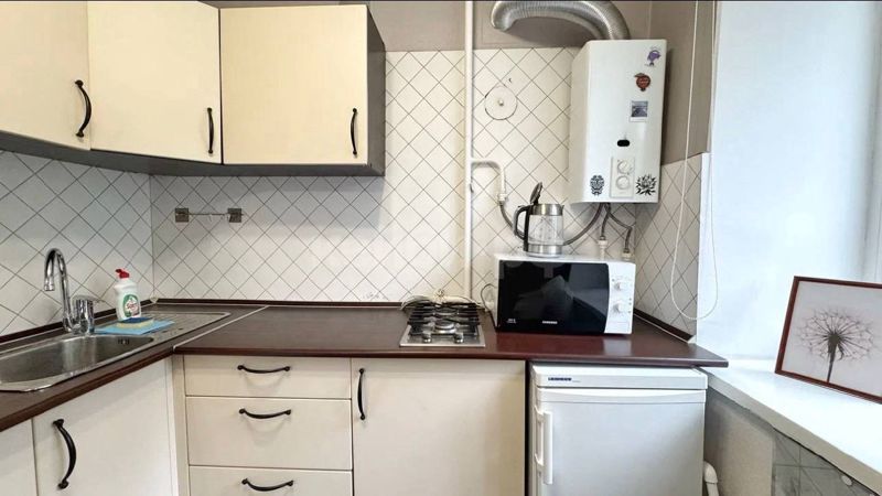 1к Шаляпина — миниатюра 11