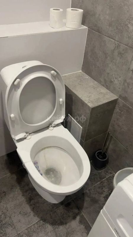 Студия Весна
