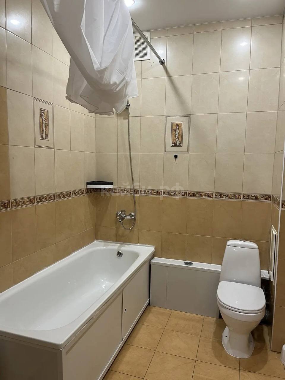1к Сибгата Хакима — фото 2