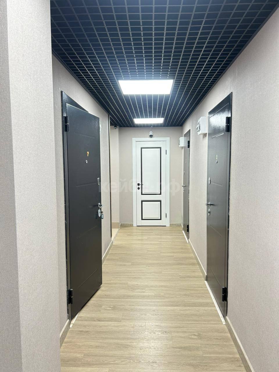 Студия Гривки — фото 6