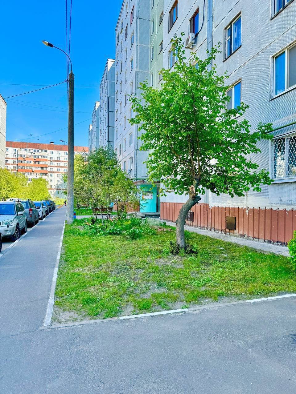 1к Адоратского — фото 2