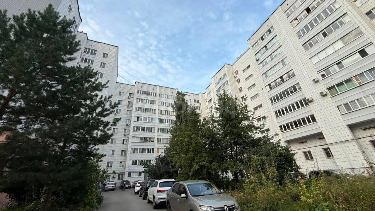 2к Вишневского — фото 23
